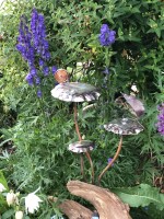 v. Mouse and Snail.jpg